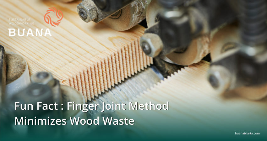 Fun Fact : Finger Joint