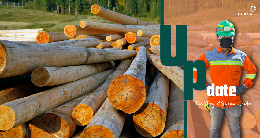 The Story of Buana's Grader