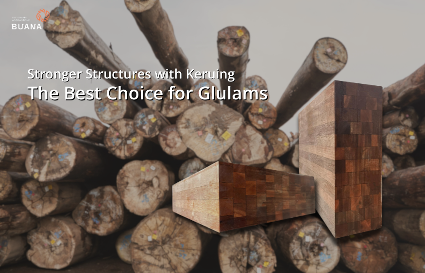 Stronger Structures with Keruing: The Best Choice for Industrial Glulams