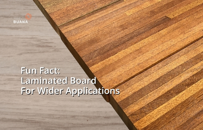 5 Fun Facts About Laminated Board