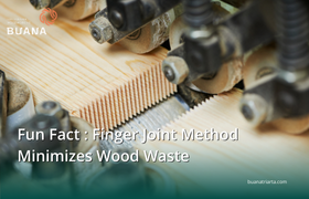 Fun Fact : Finger Joint