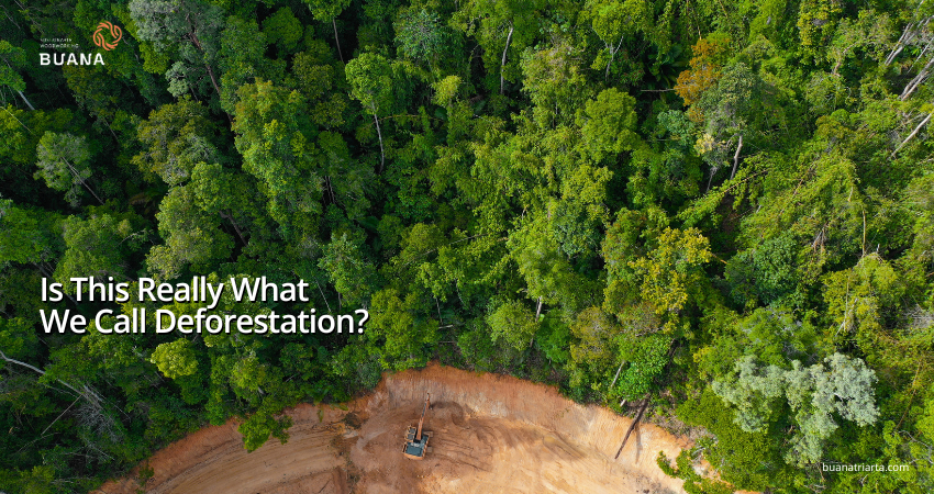 Is This Really What  We Call Deforestation?