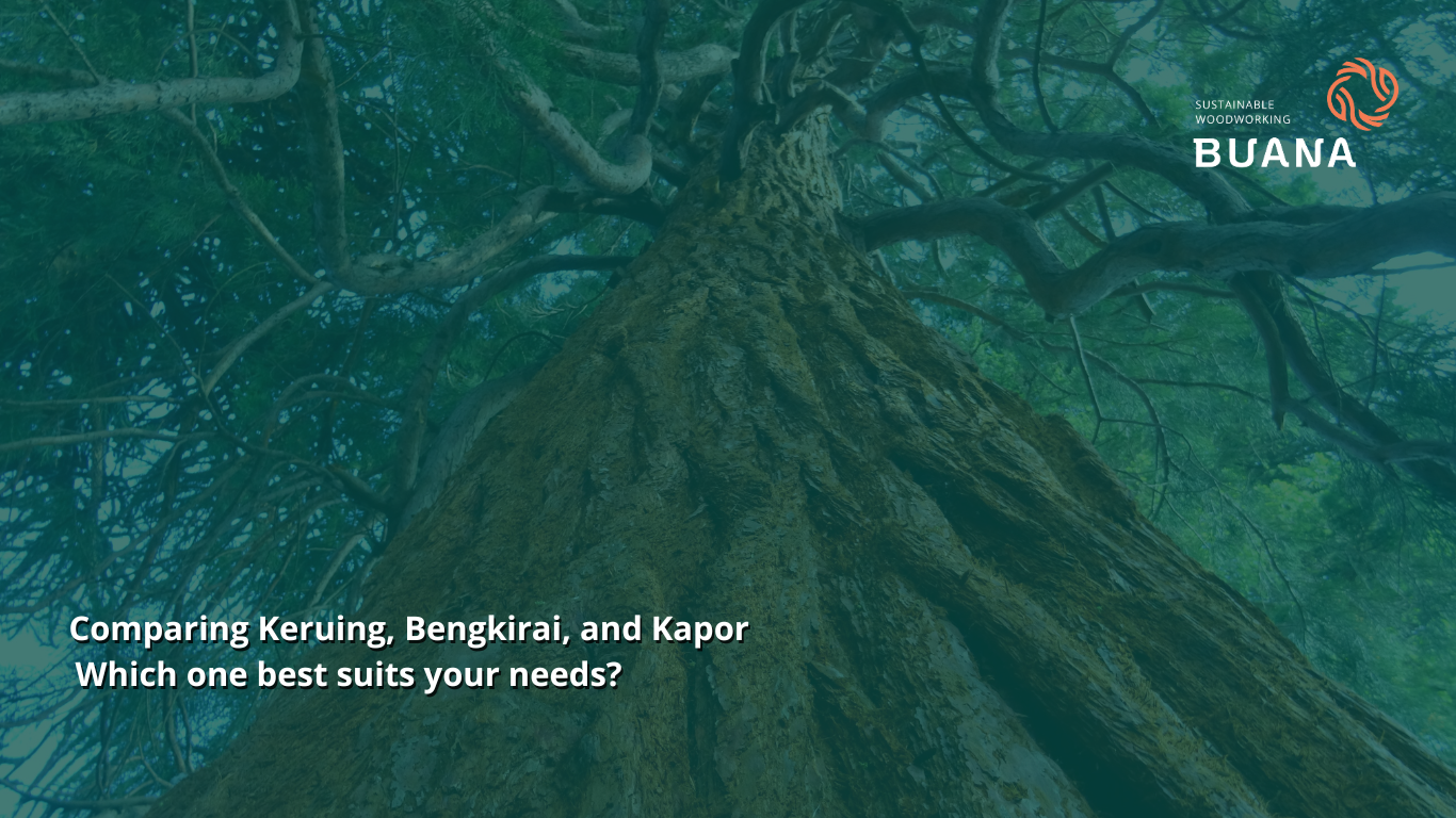 Comparing Keruing, Bengkirai, and Kapor: Which one best suits your needs?