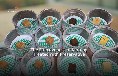 The Effectiveness of Keruing Treated with Preservatives