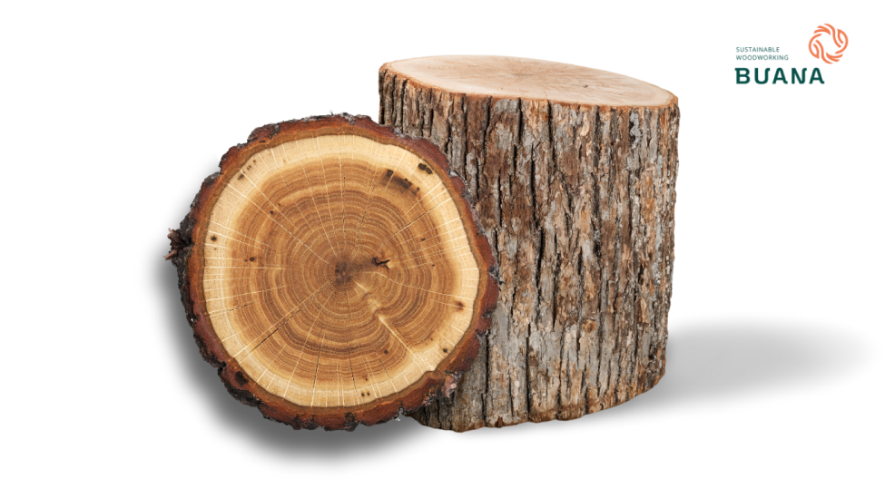 Benefits of Resin in Products Made from Keruing