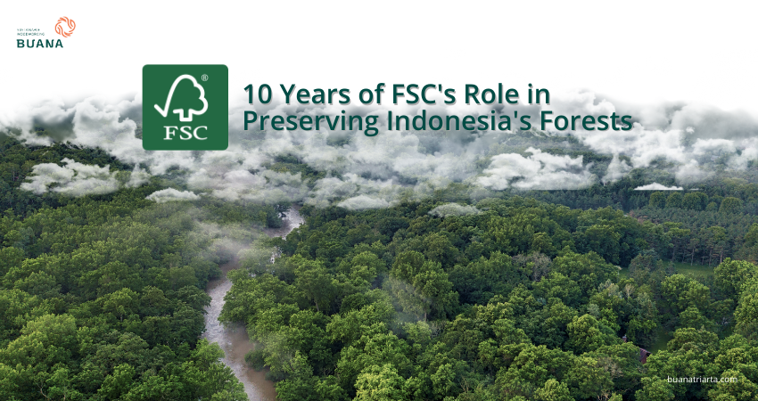 10 Years of FSC's Role in Preserving Indonesia's Forests