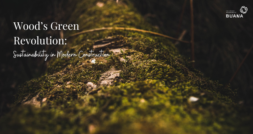 The Role of Wood in Sustainable Projects: Addressing Green Construction Challenges