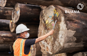 Which is Better in Terms of Carbon Emissions “Wood or Steel?”