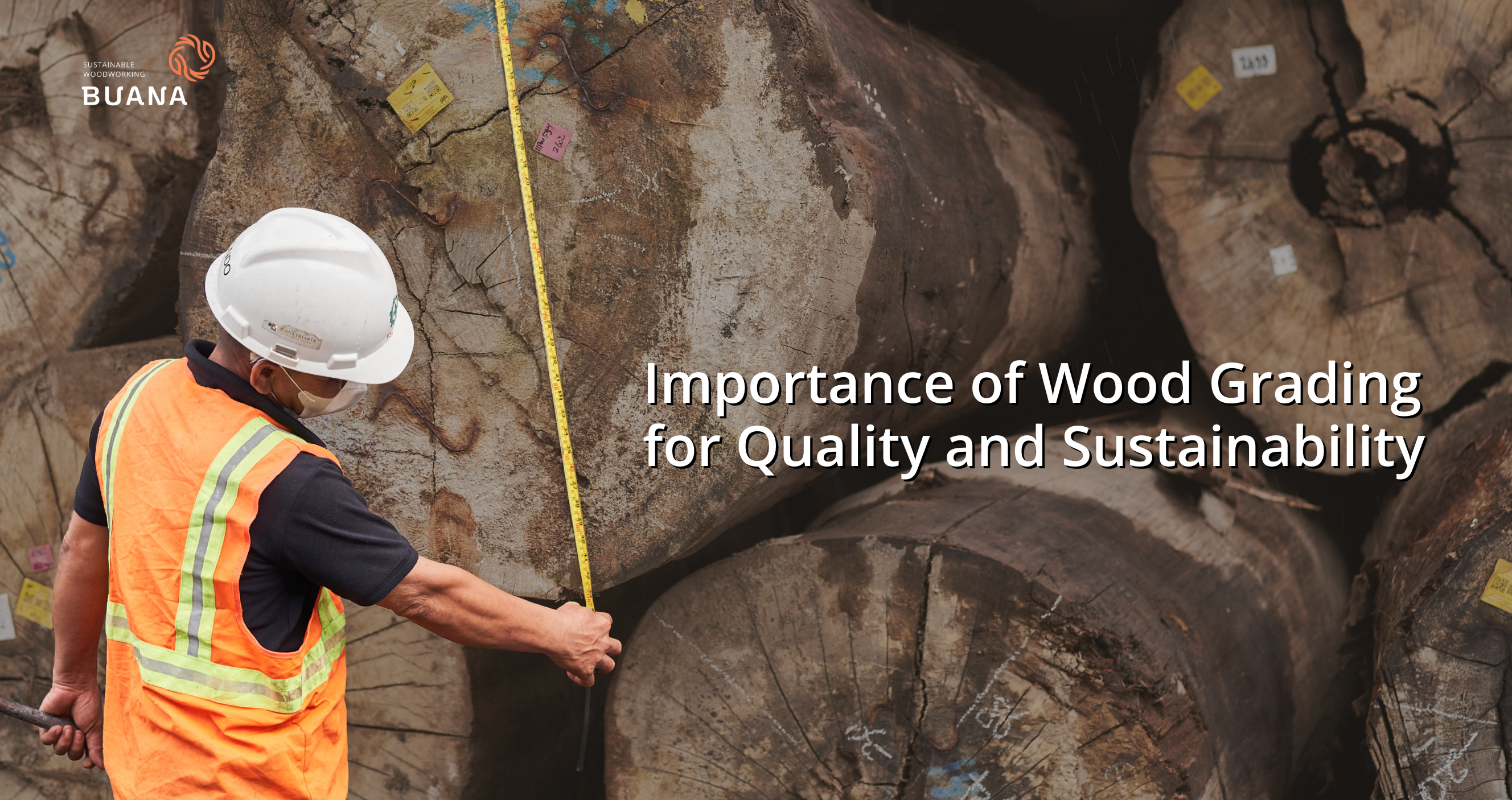 Importance of Wood Grading for Quality and Sustainability
