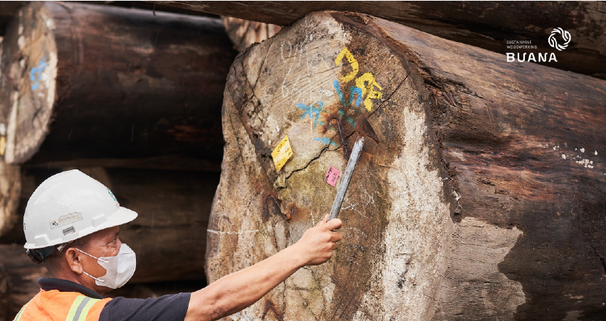 Which is Better in Terms of Carbon Emissions “Wood or Steel?”