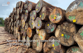 Apitong Wood: Durable Trailer Flooring and Marine Uses