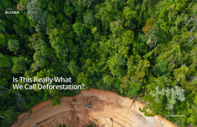 Is This Really What  We Call Deforestation?