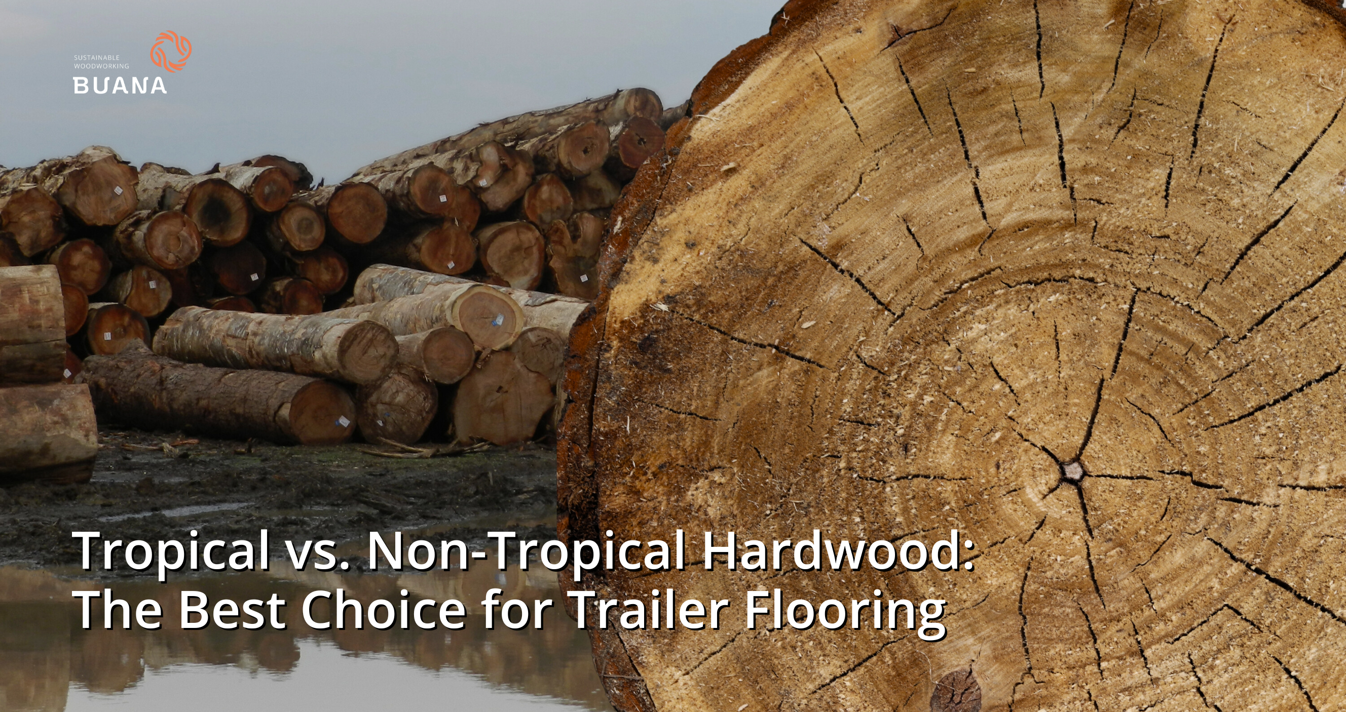 Tropical vs. Non-Tropical Hardwood: The Best Choice for Trailer Flooring
