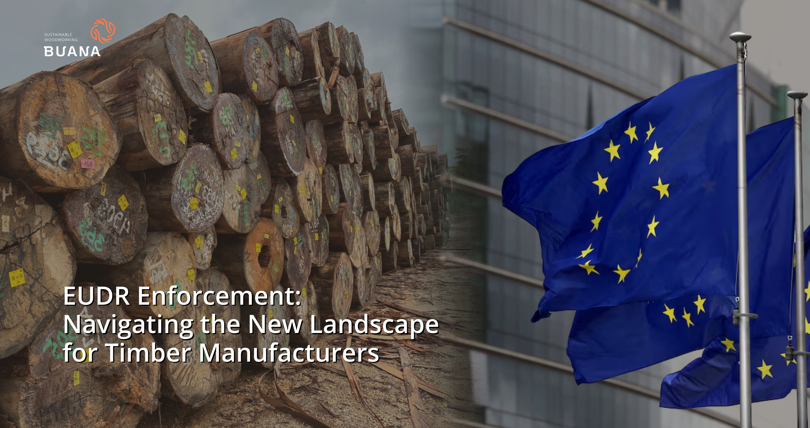 EUDR Enforcement: Navigating the New Landscape for Timber Manufacturers