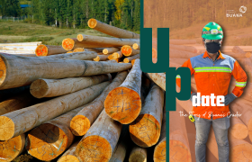 The Story of Buana's Grader