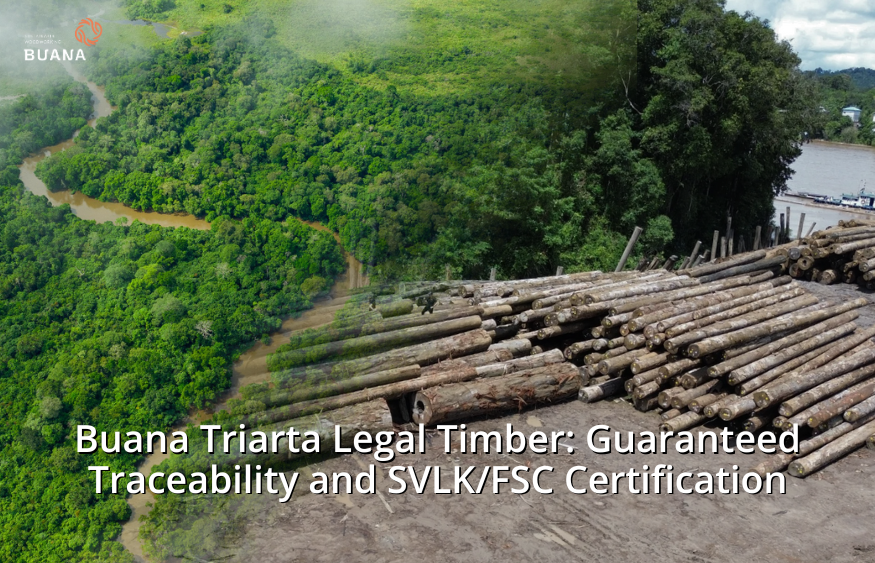 Buana Triarta Legal Timber: Guaranteed Traceability and SVLK/FSC Certification