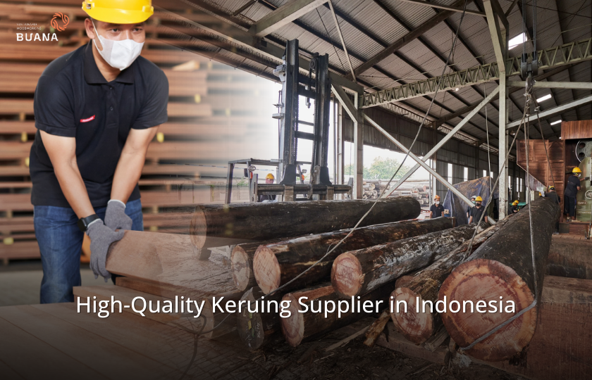 High-Quality Apitong/Keruing Supplier in Indonesia